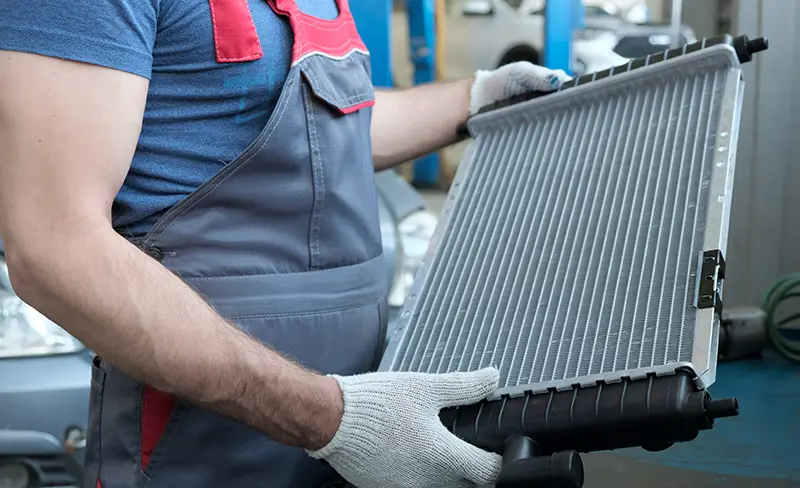 Cabin Air Filters